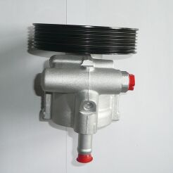 Power steering pump RENAULT 26081479RS