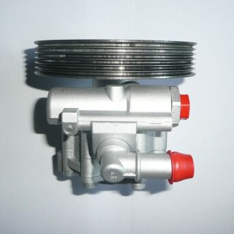 Servopumpe Hydraulikpumpe Lenkung CITROEN  9640906480  9640830987  7613955512