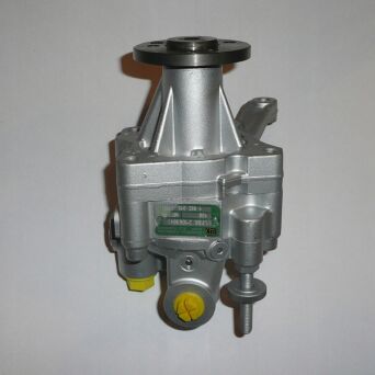 Servopumpe Hydraulikpumpe Lenkung BMW 32411091911