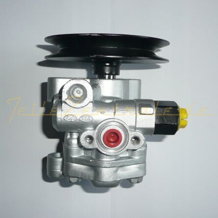 Power steering pump HYUNDAI GETZ 571101C500