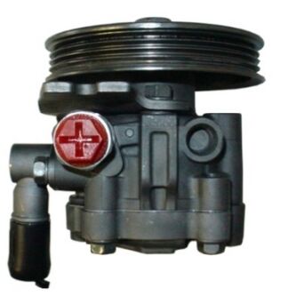 Servopumpe Hydraulikpumpe Lenkung NISSAN 491101C700