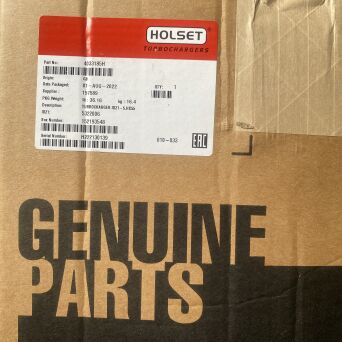 NEUER HOLSET Turbolader Iveco  504179011 504213442