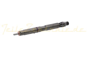 Injector DELPHI 28229876