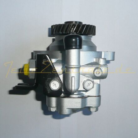 Power steering pump NISSAN 491102X800