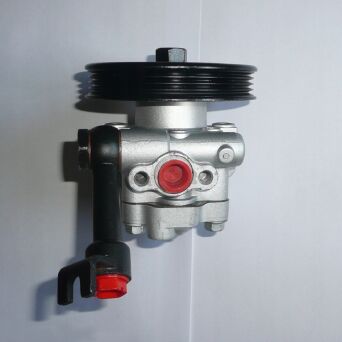 Servopumpe Hydraulikpumpe Lenkung NISSAN 491107Y000