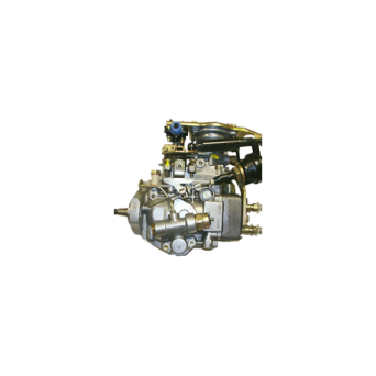 Einspritzpumpe BOSCH 0460494248