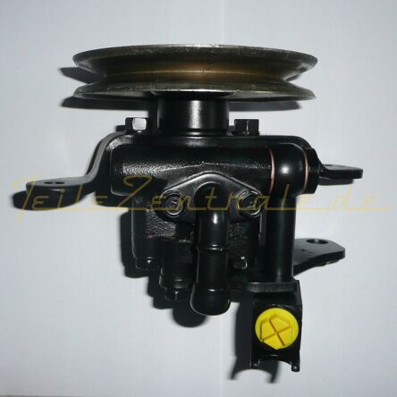 Power steering pump Terrano 491107F005