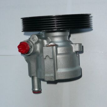 Power steering pump RENAULT 111040